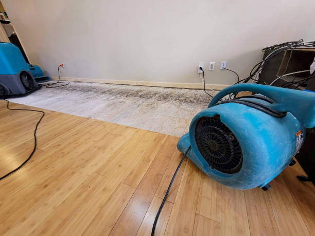 Professional Water Extraction technician working in Macomb, MI